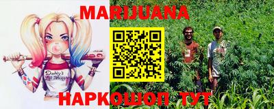 гидропоника Краснознаменск