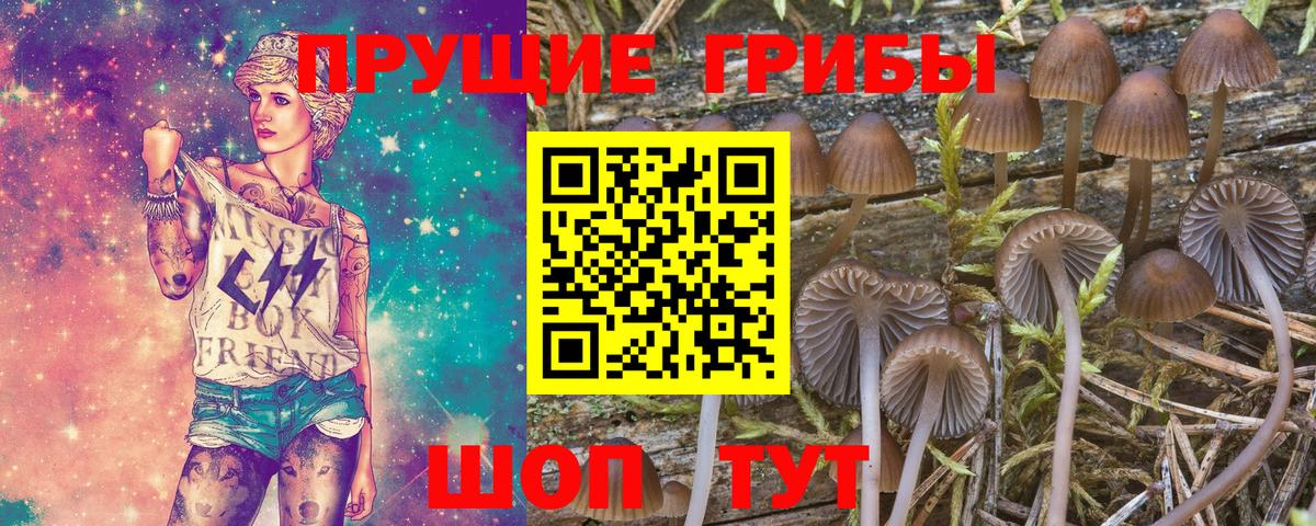 Казань  Галлюциногенные грибы GOLDEN TEACHER  Вход с VPN 