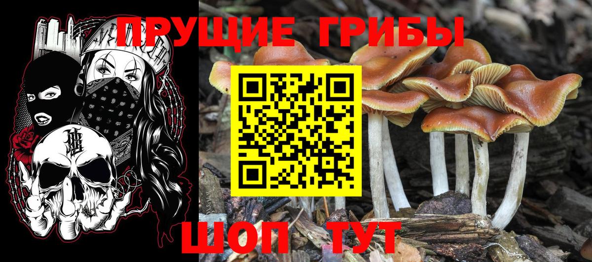 Галлюциногенные грибы Magic Shrooms Казань